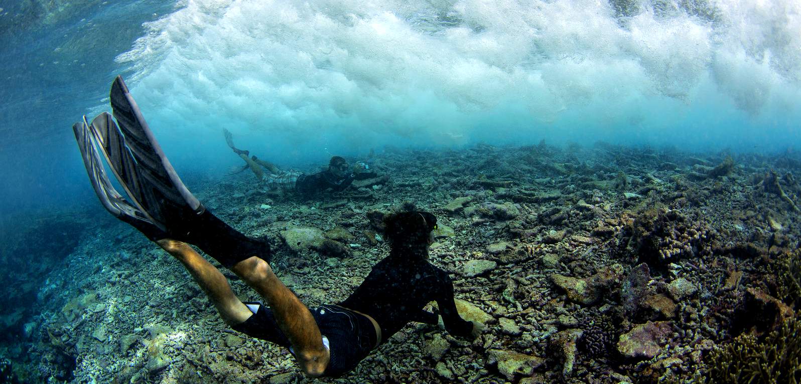 Divers photographing a dying reef