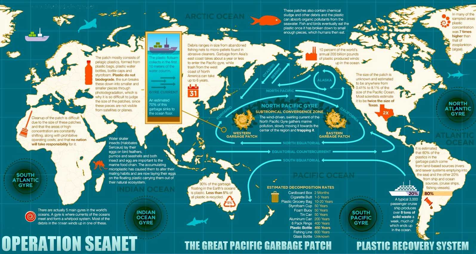 Pacific Ocean Current Chart