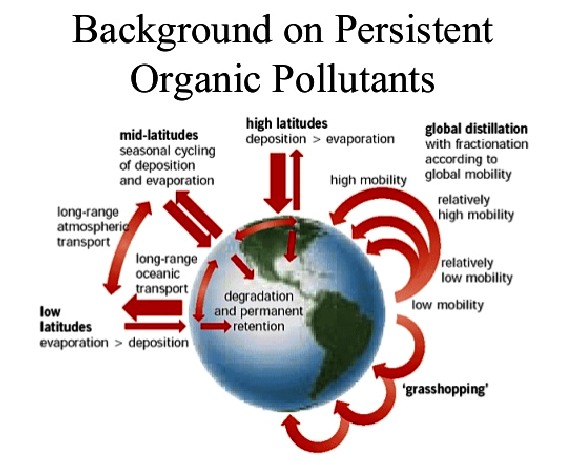 pdf mercury contaminated sites