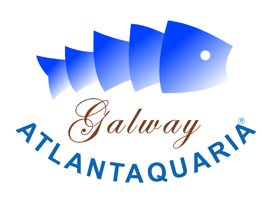 Galway Atlantaquaria oval fish logo