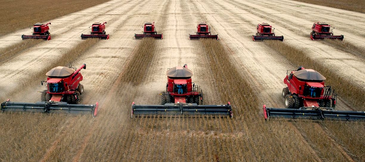 Combine harvesters cleaning up a field of wheat