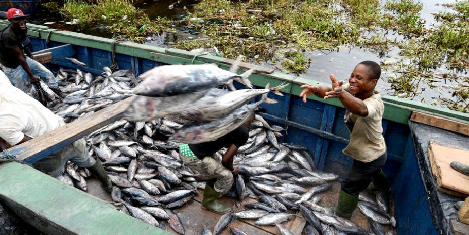 Tuna fishermen on the Ivory Coast of Africa