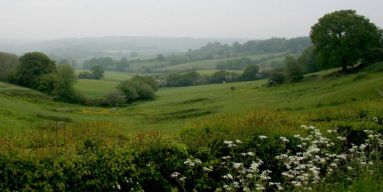 The high Weald area of outstanding natural beauty
