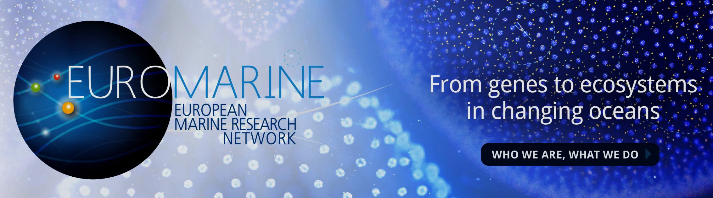 http://www.euromarinenetwork.eu/BSBG