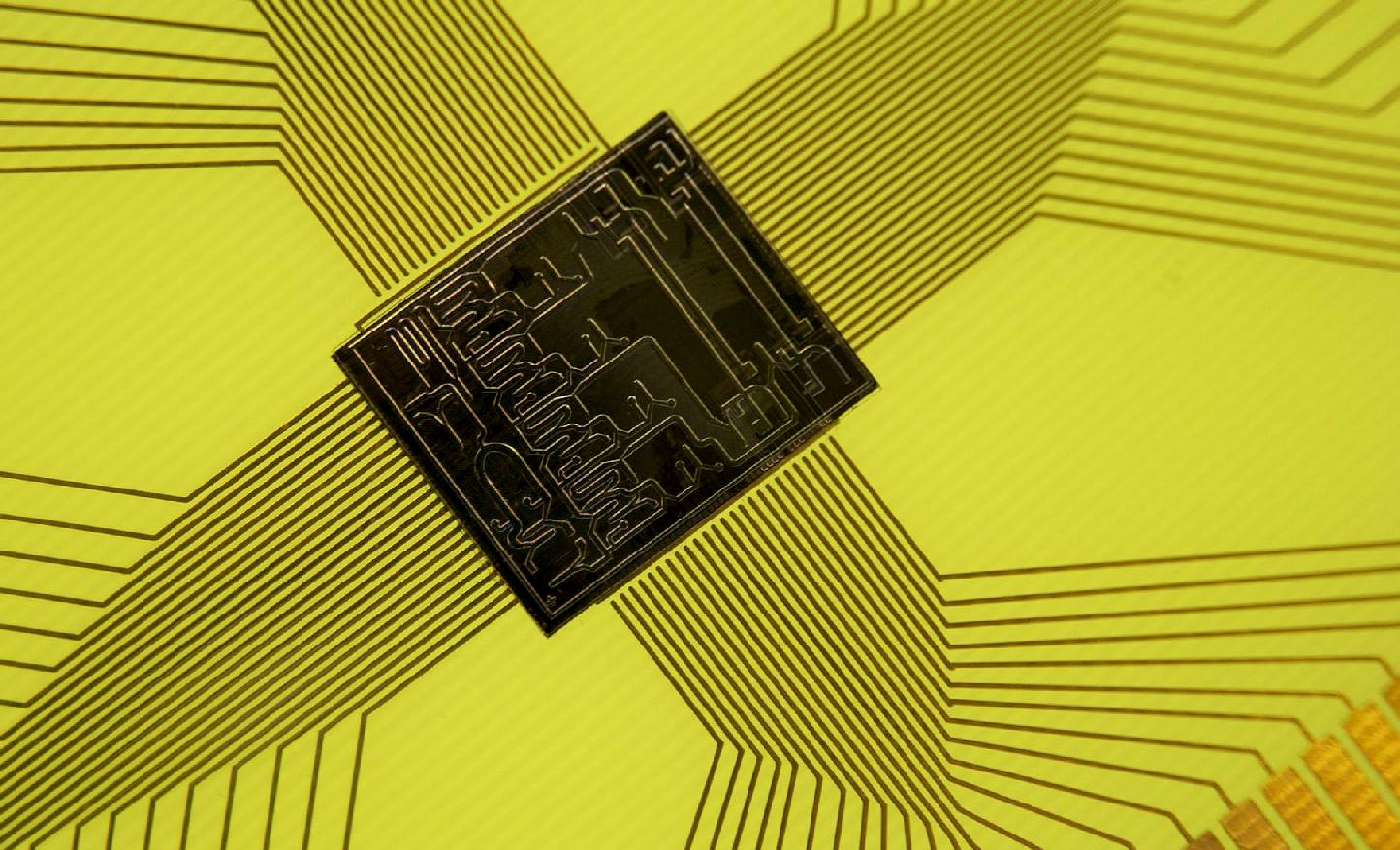 A whole laboratory on a single computer chip