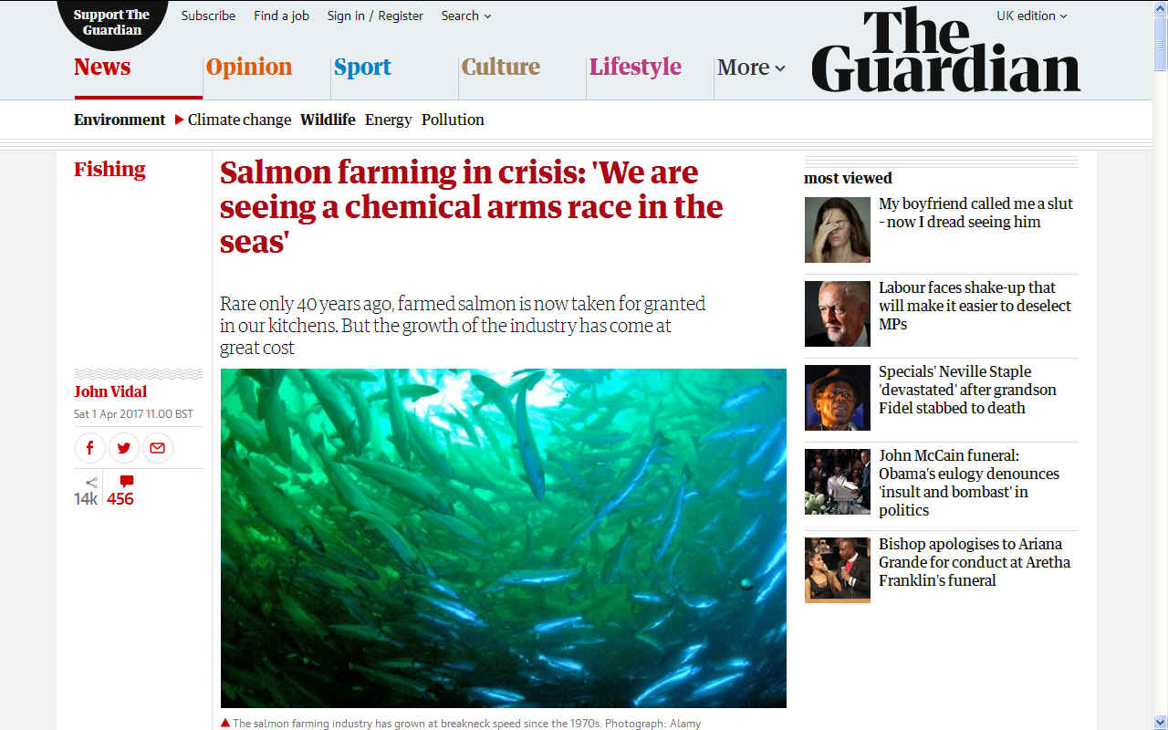 Salmon fish farming crisis from lice Guardian 2017