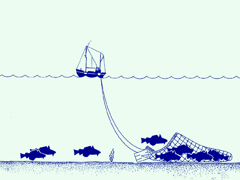 https://www.blue-growth.org/Plastics_Waste_Toxins_Pollution/Plastics_Pictures/Trawling_Diagram_Fishing_Nets.png