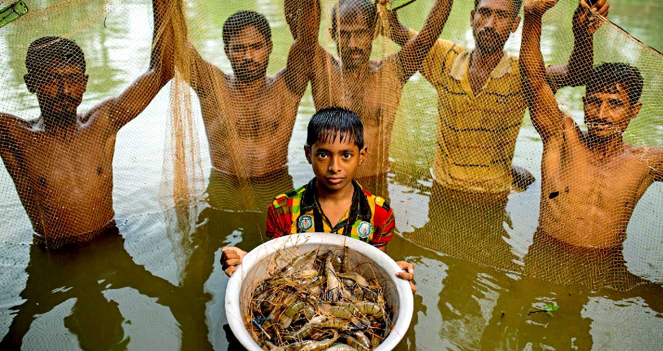 Can we feed the world using aquaculture?