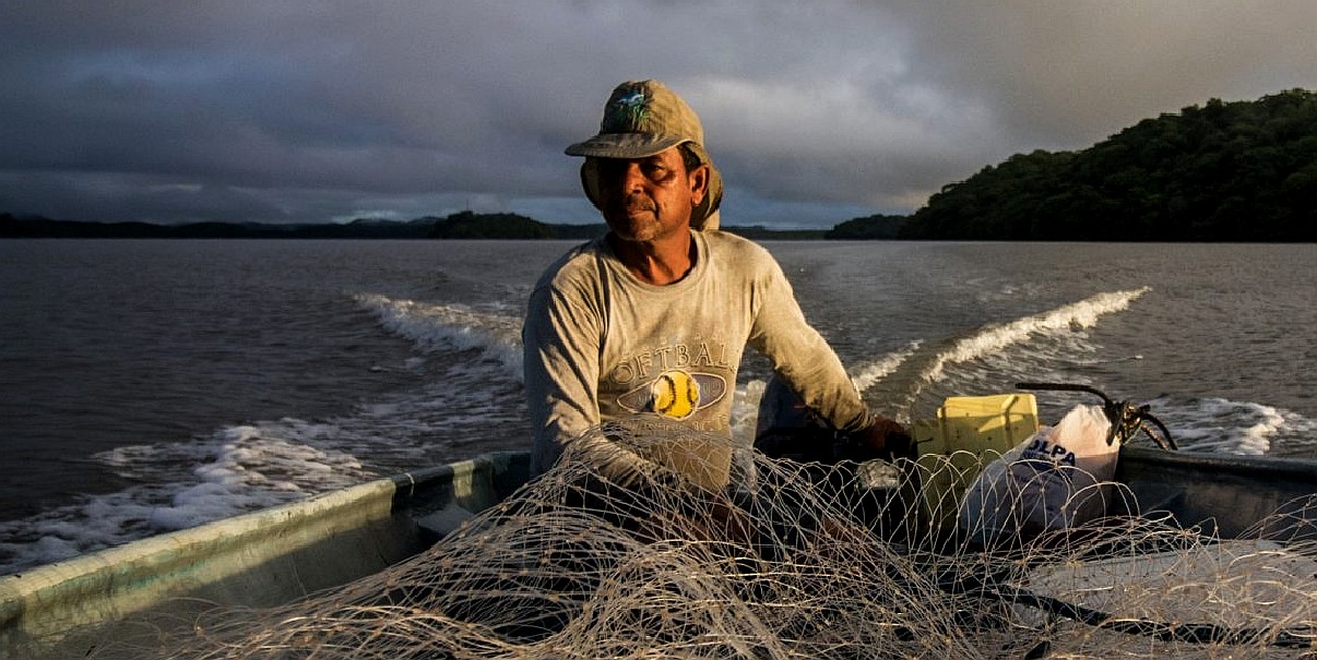 Plastic Round Fishing Net, Anti Rush Fishing Net for Goldfish for