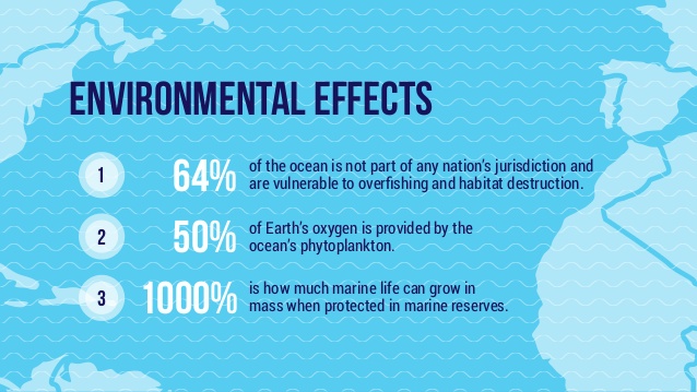 What is Overfishing? Facts, Effects and Overfishing Solutions