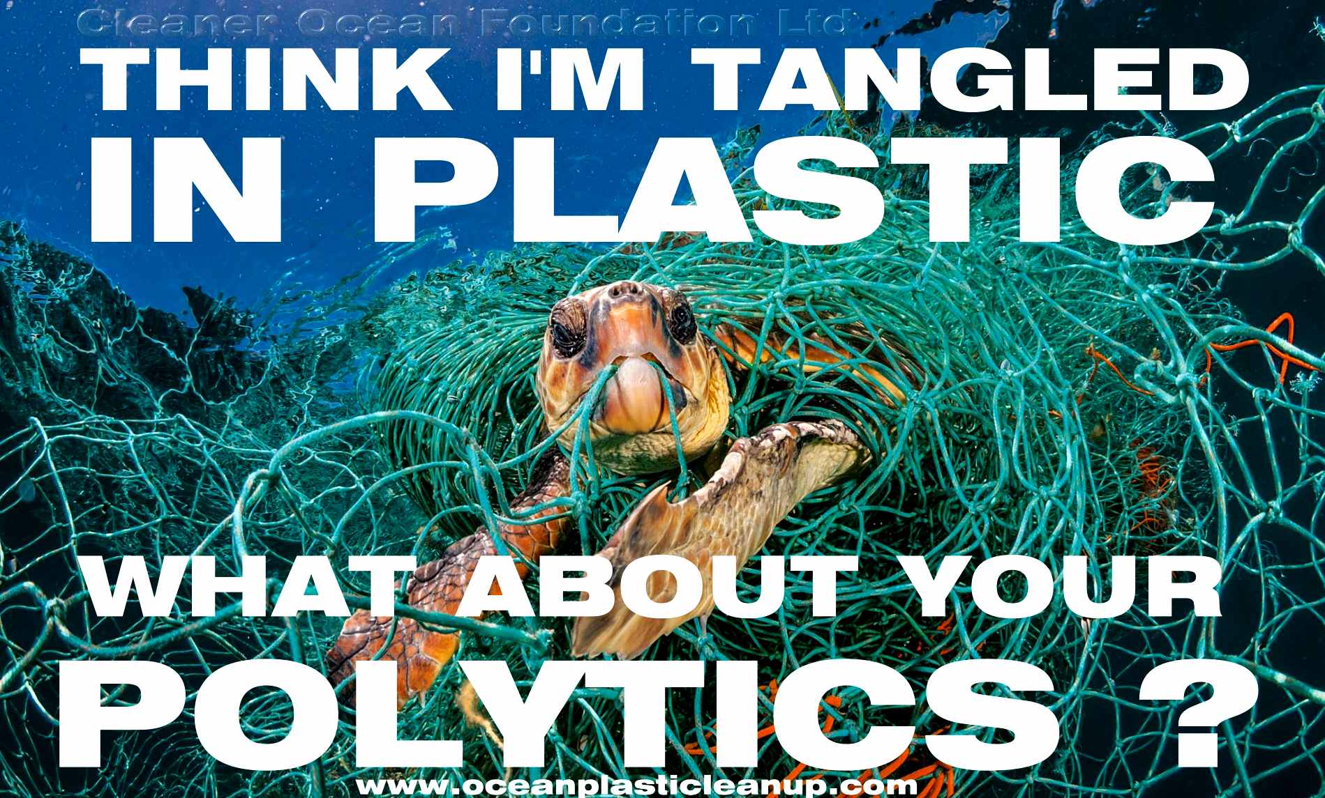 Politicians are so into plastic that they are blind to the pollution that is poisoning our oceans